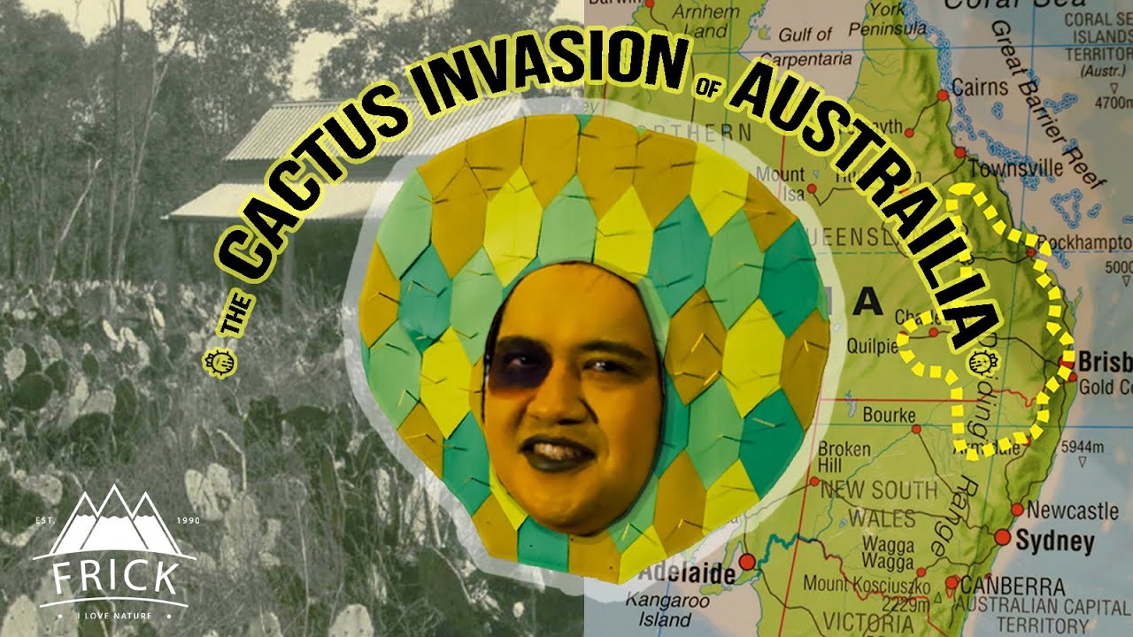 The Cactus Invasion of Australia