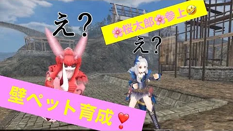 تحميل トーラムオンライン ペット