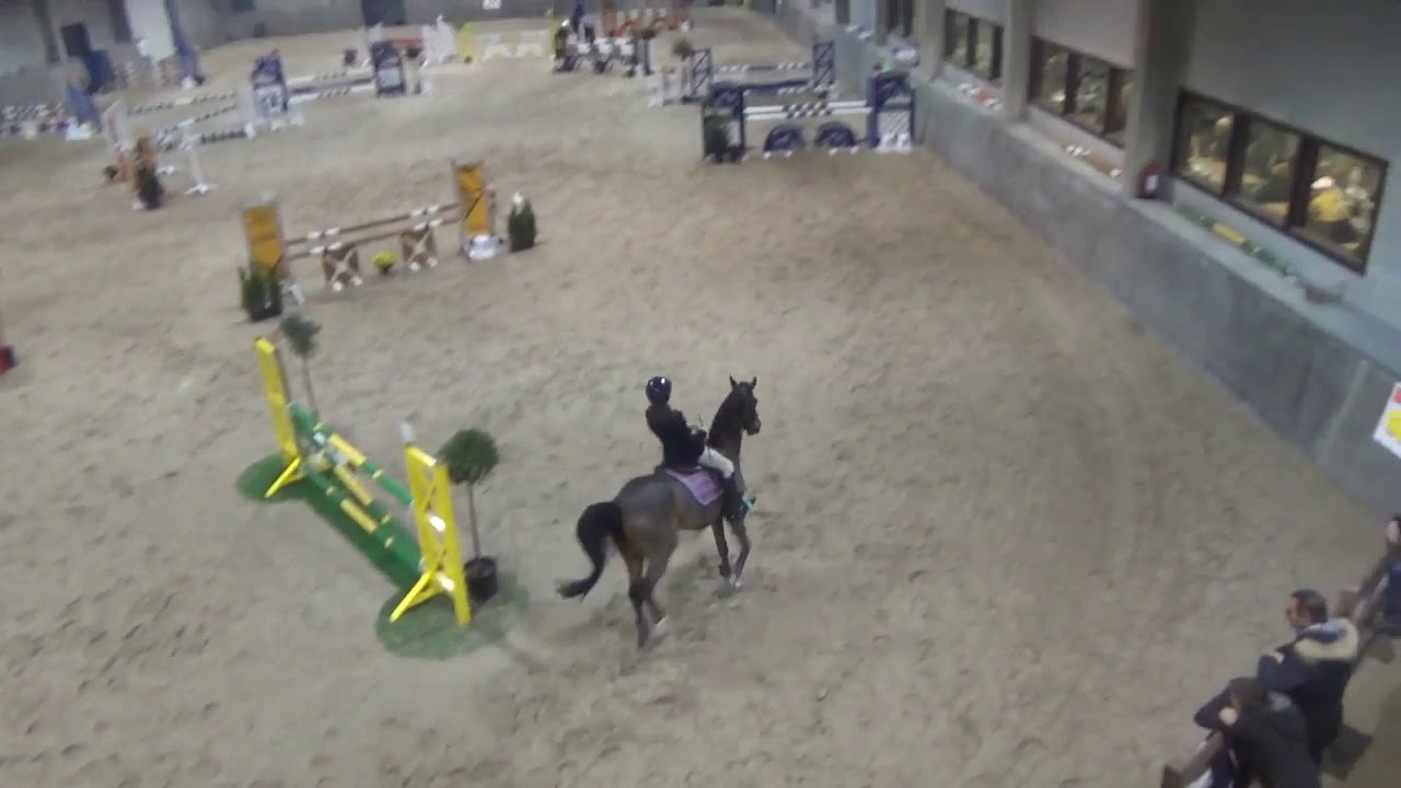 3de selectie JMIM Ruiterschool Heverlee 3/11/'19 YouTube