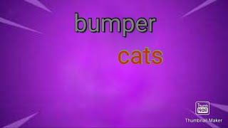 BUMPER cats GamePlay screenshot 4