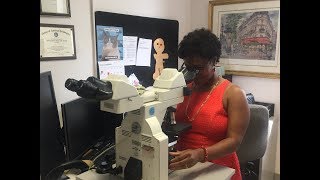 Montefiore Einstein Residency Program Dr. Tiffany Hebert