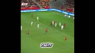 Altay Bayındırürkiye