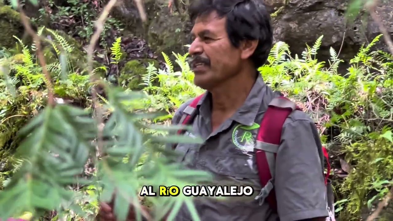 LA RESERVA DE LA BIOSFERA DE EL CIELO EN GÓMEZ FARÍAS, TAMAULIPAS, MÉXICO. 