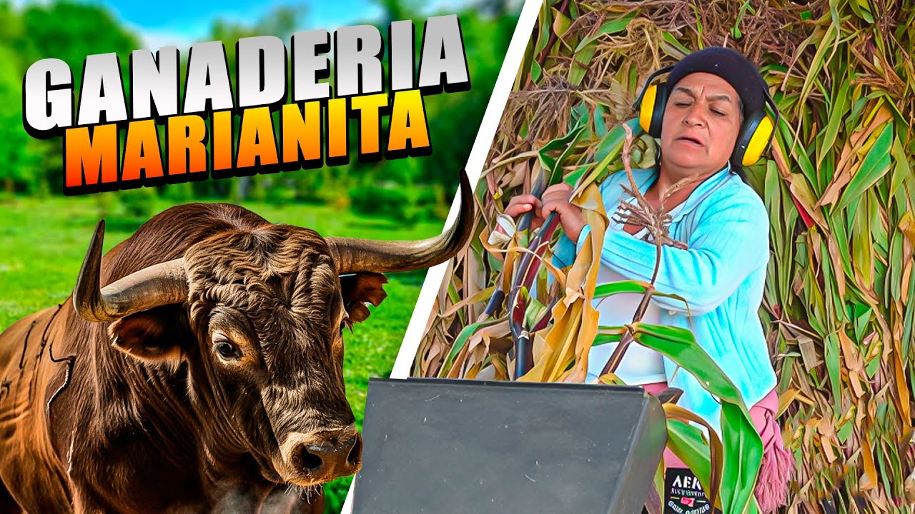 GANADERA POR UN DIA | Señora Marianita