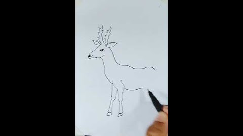#deer #drawing #art #animal