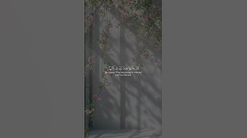 {قَالَ فَمَنْ رَبُّكُمَا يَا مُوسَى} بصوت القارئ #شريف_مصطفى #قران_كريم 🎧🤍