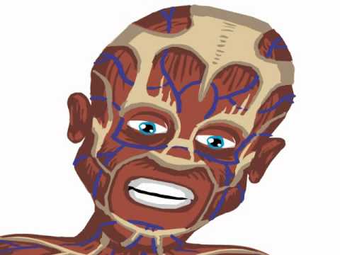 Yahoo! Audible - Hello - Skin - YouTube