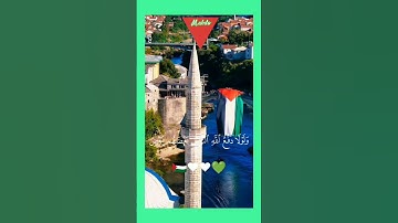 #تلاوة #قران كريم  💚🤍❤ان نصر الله قريب. راحه نفسيه ف القران 🇵🇸