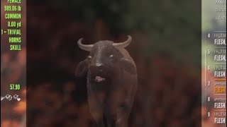 Call Of The Wild Highlights And Funny Moments Ep.36 (Bison Vs. Air Rifle) screenshot 5