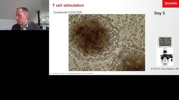 Cell-based Assays to Functionally Characterize Immunotherapy and the Immune Response to Viral...
