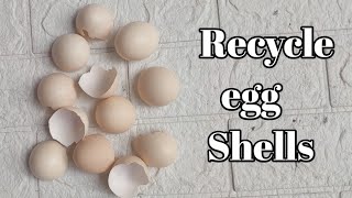 DIY Wall Hanging tutorial using eggshells and paper flowers.🌸✨