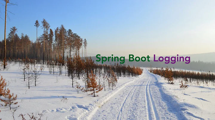 Spring Boot 2 Logging | Spring Boot 2  | @Slf4j @Log @Log4j2 @CommonsLog