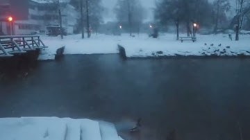 Surah Aal-Imran | سورة آل عمران🤍.