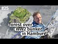 Forest above WW2 bunker in Hamburg / Architrip