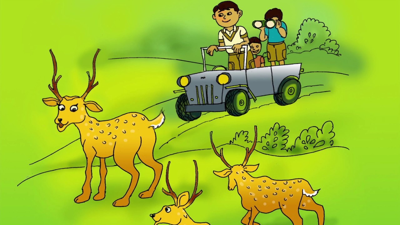 AHA Fun.. Fun with KiDANOZ