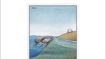 Evolutionary pattern and process