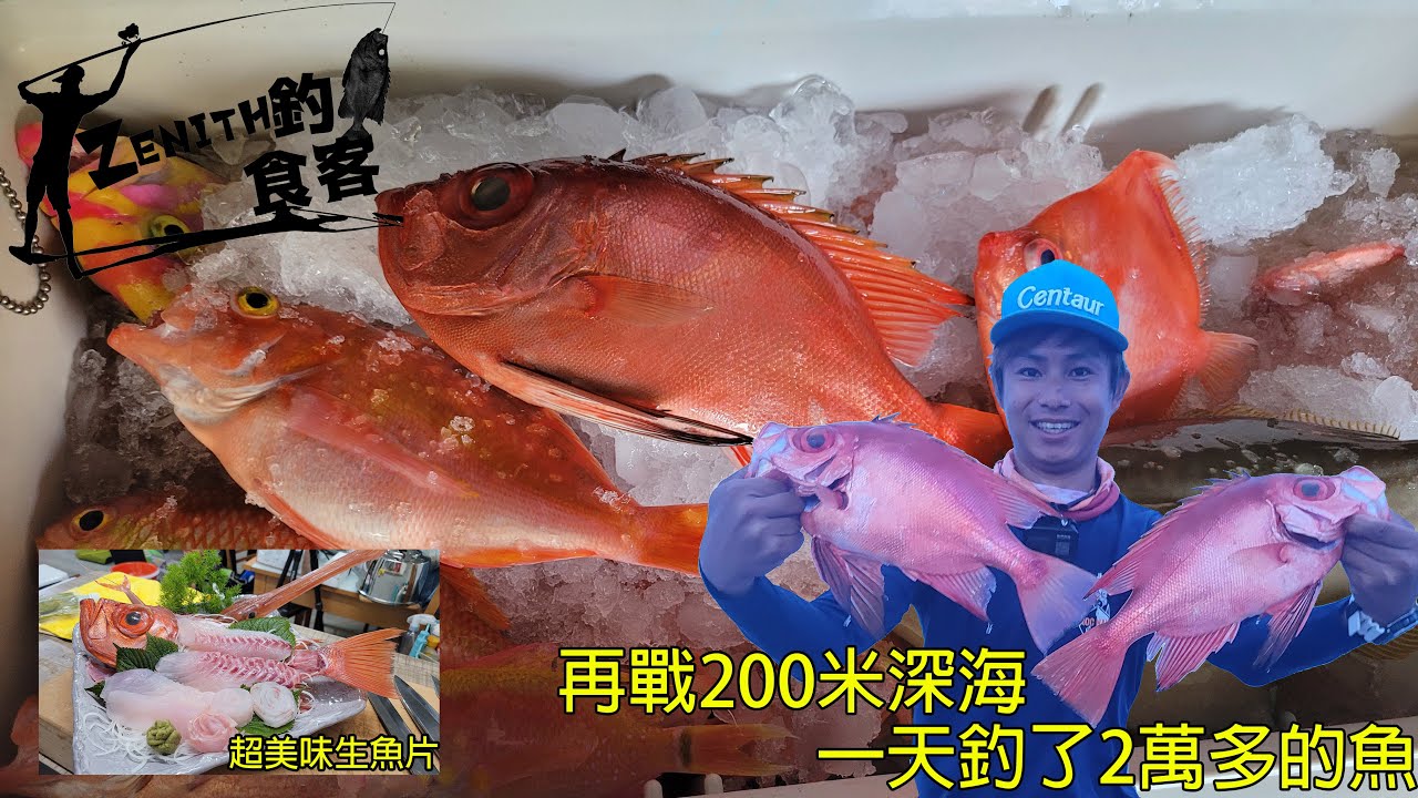 Zenith 釣魚食客 滿滿一咖紅色的深海魚爆桶了這箱魚竟然賣了000多太誇張當然少不了生魚片啦 Youtube Zenith 釣魚食客 滿滿一咖紅色的深海魚爆桶了這箱魚竟然賣了000多太誇張當然少不了生魚片啦 Youtube