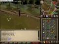 Re omfg a rat pk   competition  