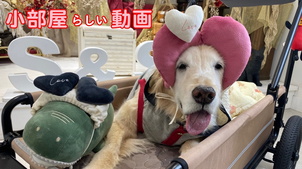 【コスチューム】は得意ですからね。可愛いハートが似合いすぎました。