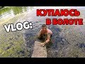 VLOG: КУПАЮСЬ В БОЛОТЕ! ПРЫГНУЛ С ДЕРЕВА И ВСТРЯЛ В МУЛЯКУ!