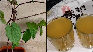 Tamalapaku kashayam in Telugu | Betel leaf kashayam | betel leaves drink | betel leaves decotion