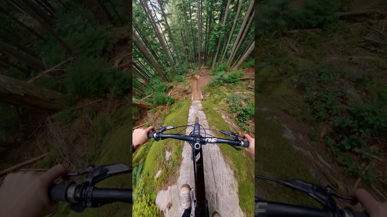 Would you ride this fast down something like this? #gopro #pov #mtb
