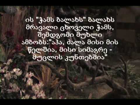 დინოზავრები