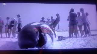 Jaws 2 1978 - Killer Whale Screen Time
