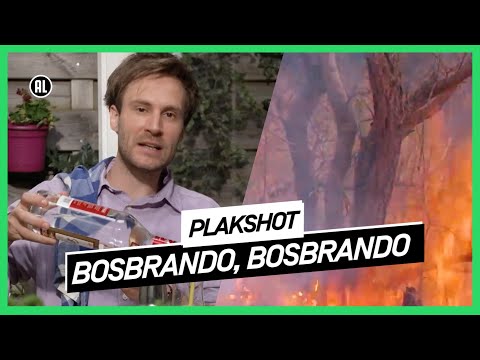 Zomer vol ellende-playlist | Plakshot | NPO 3 TV