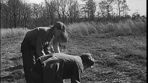 FDR: A Presidency Revealed: Part 2