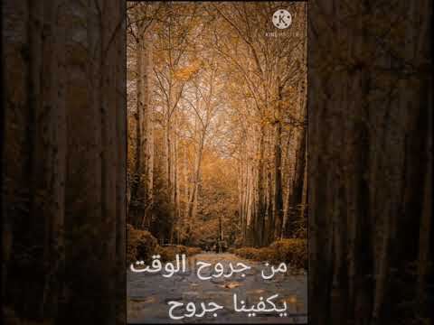 سامر الطراونه من جروح الوقت