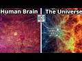 ये चीज़ ख़ुद एक ब्रह्मांड के बराबर है..! You Must Know This About Human Brain…