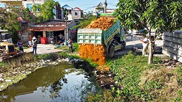 First Start New Project Landfill Flooded area ! Dump Truck Unloading Soil with Mini Dozer