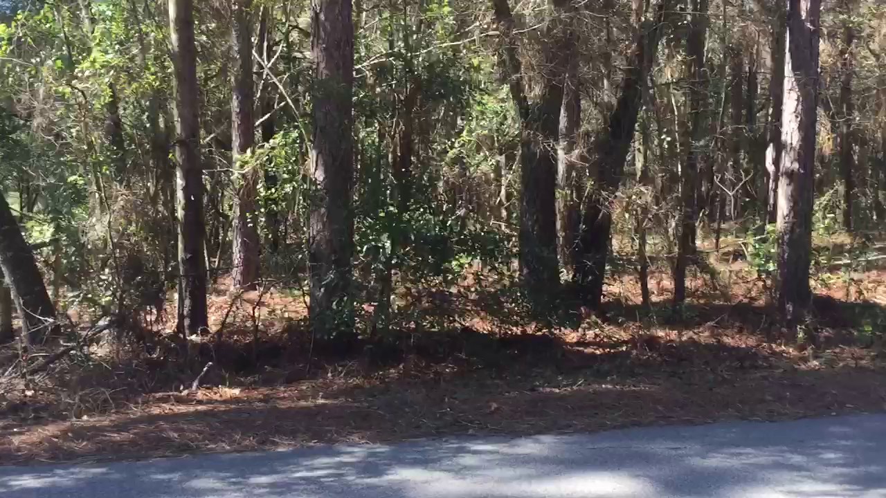 Lake Tropicana SW 189th YouTube