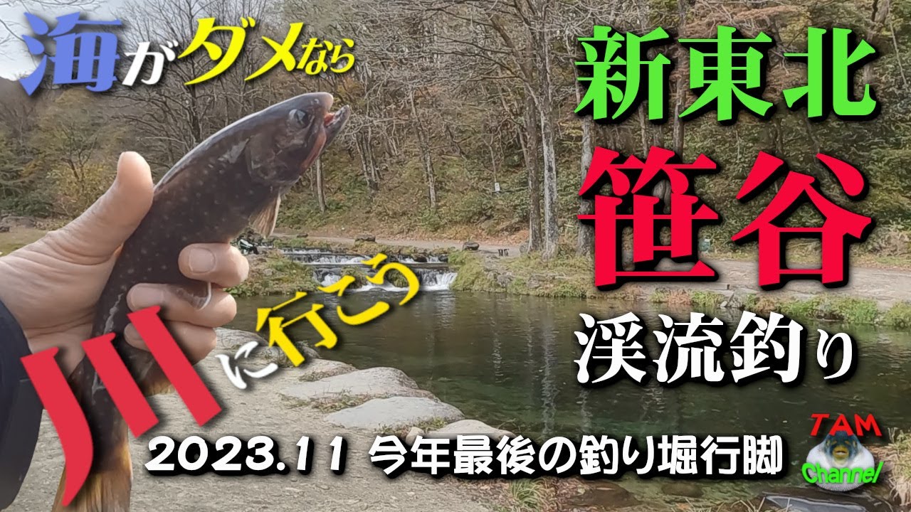 海釣り出来ないなら川に行こうよ!!　新東北笹谷渓流釣り　今年最後の渓流釣り堀で遊びつくす!!