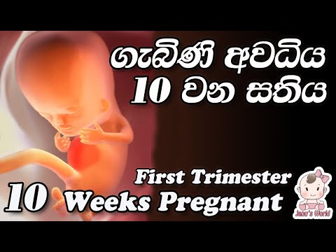 10 WEEKS PREGNANT - FIRST TRIMESTER - WHAT TO EXPECT - මුල් ගර්භණී අවධිය - 10 වන සතිය