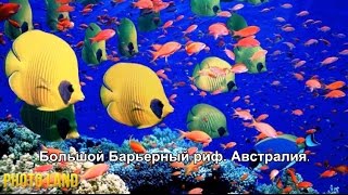 Буйство красок || PHOTO LAND (красивая природа, красивые пейзажи природы)(Буйство красок || PHOTO LAND (красивая природа, красивые пейзажи природы) Все необходимое для фотографии, можно..., 2015-01-27T10:43:50.000Z)