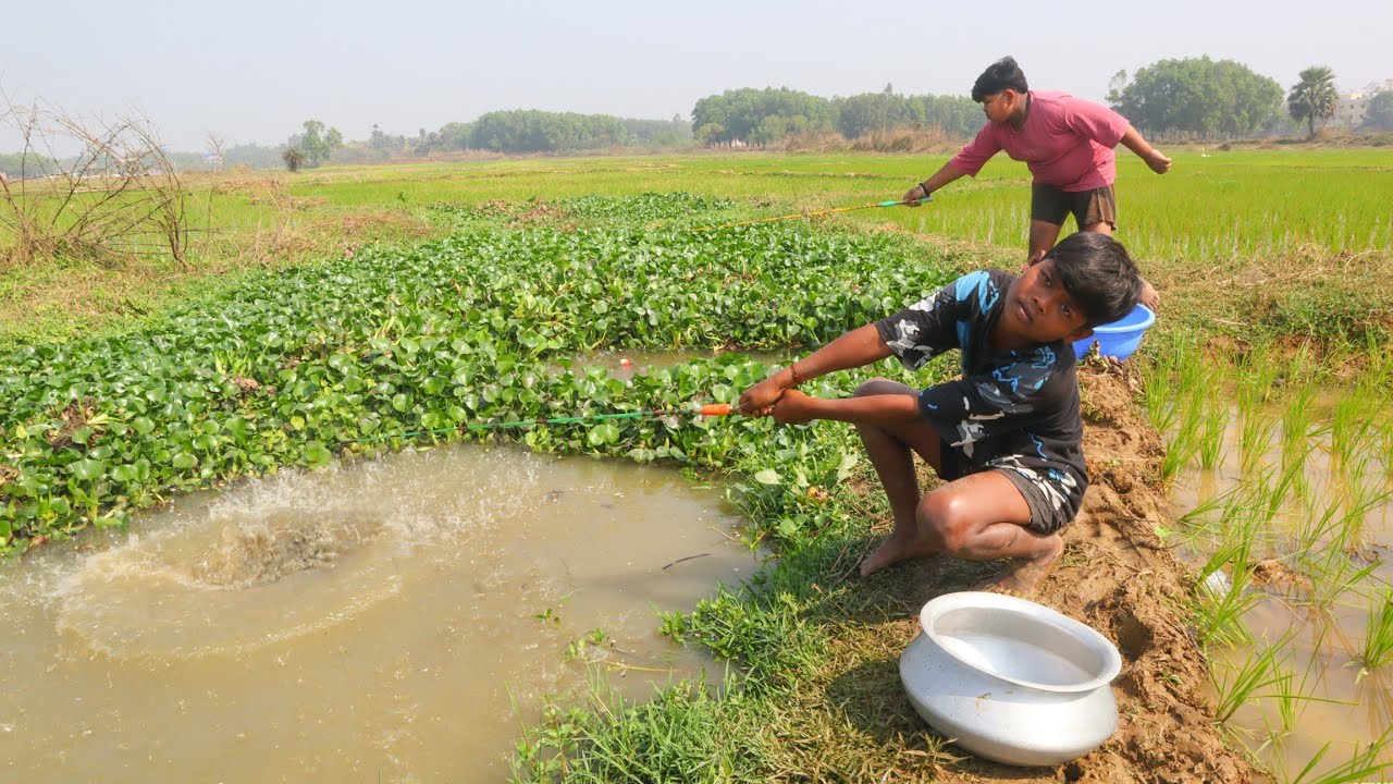 Fishing Video || Everyone was impressed to see Smart brothers fishing in the village canal|| Trap