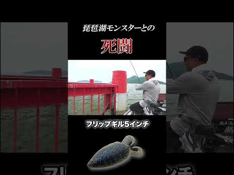 本編は↓↓↓の▶︎をタップ!!!