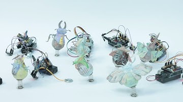 Heteromorphosis--insect interactive sound installation