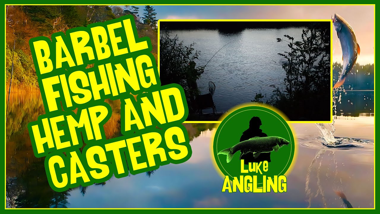 Barbel Fishing - Hemp and Casters