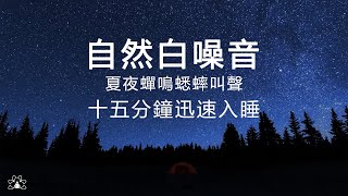 蟋蟀和蟬鳴 - 夏夜聲可幫助您快速入睡 | Summer Night Sounds Cicadas & Cricket Night Sounds for Sleep & Relaxation