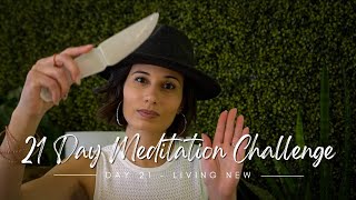 Day 21 Living New - Embrace Change & Transform 21 Day Meditation Challenge Net Worth