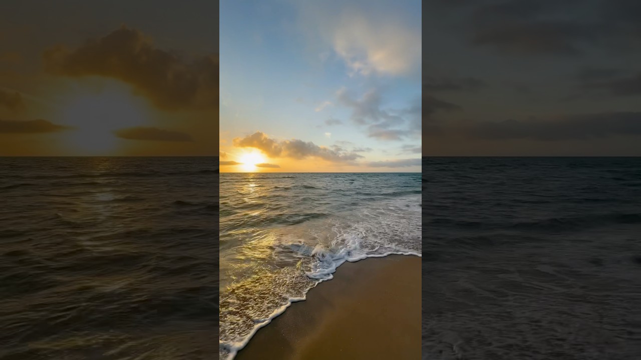 Stunning 🌊✨♥️🐚Sunrise🌅Relaxing Ocean Waves 🌊🐚✨