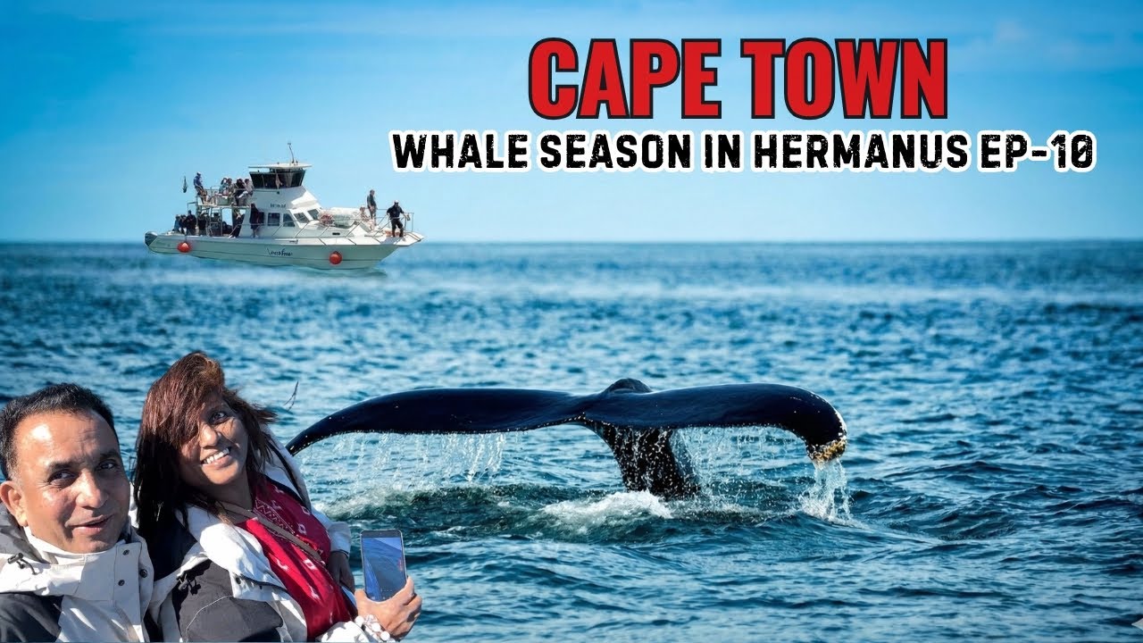 South Africa Travel | Cape Town | Episode 10 | Whale Watching in Hermanus | Close Encounters
