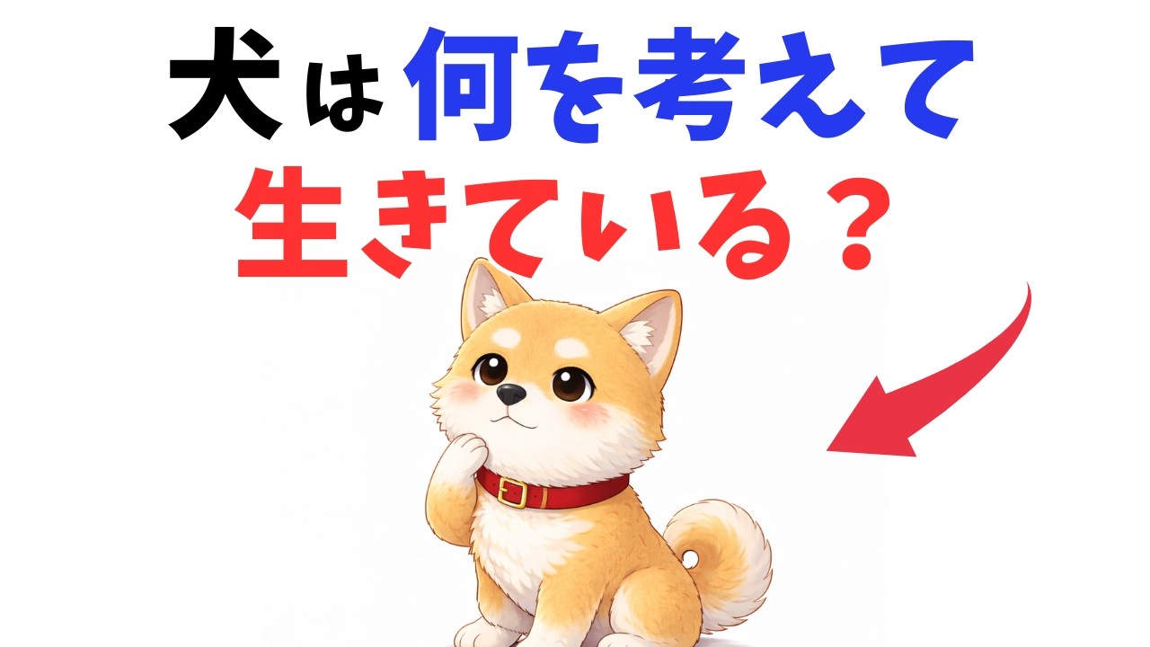 【愛犬の本音】犬は何を考えて生きている？