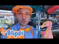 Blippi Learns About Sea Creatures | Animals for Kids | Funny Cartoons | Learn about Animals