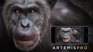 Artemis Pro screenshot 4