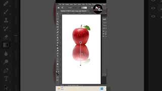 How To Create Reflection Or Shadow In Photoshop Noreen Graphics