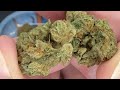Goody Farms Lemon Cherry Gelato LCG
